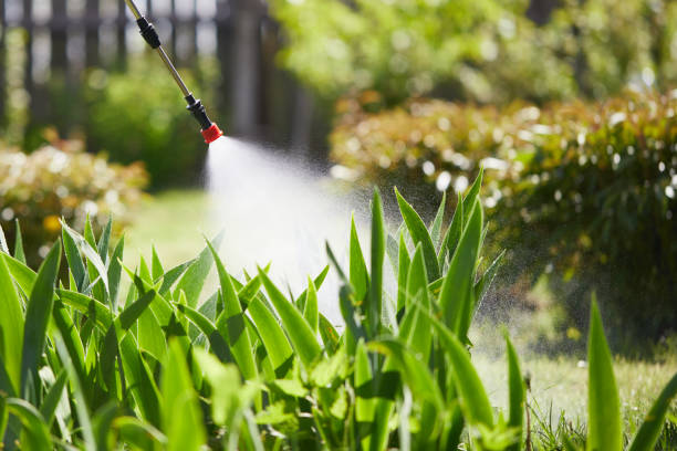 24/7 Emergency Mosquito Control experts in Fuquay-Varina, NC